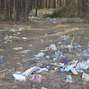 Во Владимирской области тропинка в лес превратилась в мусорную свалку