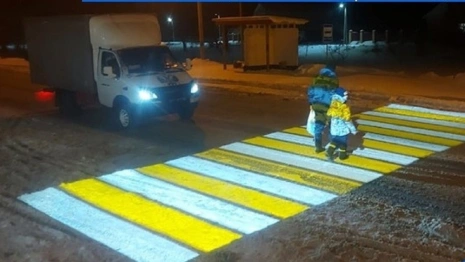 В четырех районах Владимирской области появились проекционные зебры