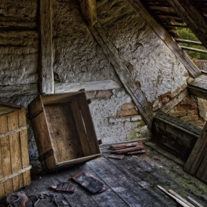 Во Владимирской области забыли снести расселенный аварийный дом