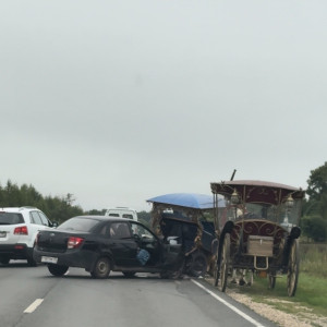 В Суздале легковушка въехала в гужевую повозку
