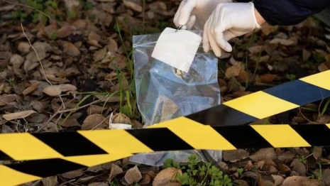 Житель Владимирской области убил знакомую и выбросил труп у дома подруги