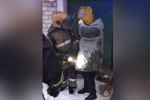 Следком начал проверку после смертельного пожара под Александровом