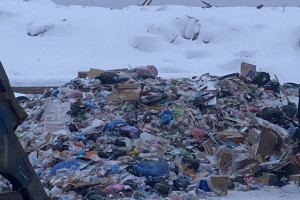 В Кольчугино незаконно работает закрытый мусорный полигон