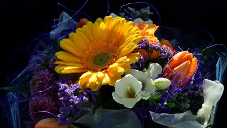 Родителям владимирских школьников рассказали, как выбрать букет на 1 сентября