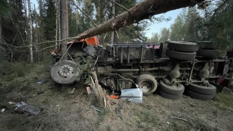 Стали известны личности погибших в ДТП с иномаркой и КамАЗом под Киржачом