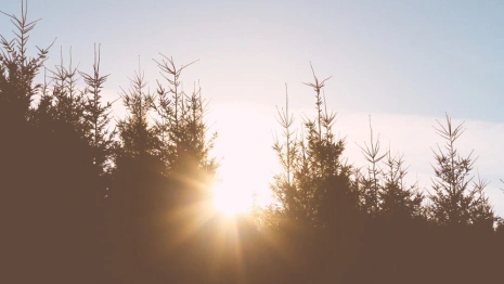 Прогноз погоды во Владимирской области на 18 апреля 2025 года