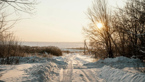 Во Владимирскую область придет потепление до +1