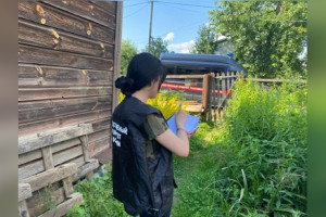 В Петушках пенсионерка зарезала 47-летнего сожителя