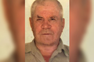 Жителей Владимирской области позвали на срочные поиски 84-летнего дедушки