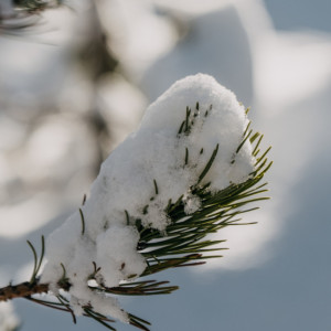 Прогноз погоды во Владимире и области на 24 ноября