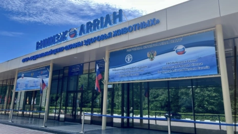 «Ящурный институт» во Владимире стал лабораторией ООН по расследованию применения химоружия