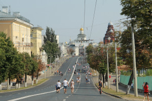 «Что важнее: дерево или памятник?» Наумов порассуждал об озеленении центра Владимира