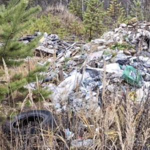 В лесу Селивановского района нашли огромную стихийную свалку