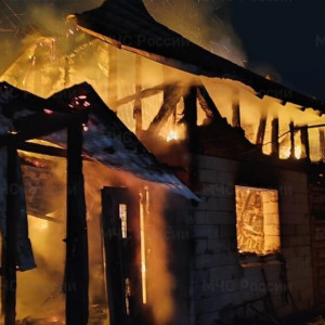 Во Владимирской области на пожаре в СНТ пострадали 2 человека