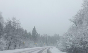 Владимирскую область начало засыпать снегом вслед за Москвой