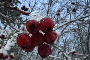 Прогноз погоды во Владимире и области на 19 февраля