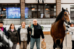 Владимирская кобыла Богиня получила золотую медаль на выставке в Москве