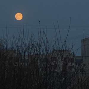 В октябре жители Владимирской области смогут увидеть суперлуние и звездопад
