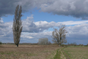 Владимирские энергетики приготовились к работе при штормовом ветре
