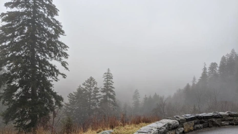 Прогноз погоды во Владимире и области на 7 декабря 2025 года