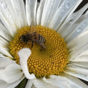 Прогноз погоды во Владимирской области на 19 июня 2025 года