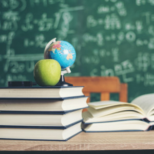 Школы в Покрове и Лакинске планируют открыть к 1 сентября