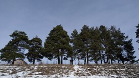 Во Владимирской области последняя рабочая неделя осени закончится «нулевой» температурой