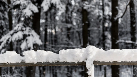 Во Владимирской области последняя неделя января будет теплой и пасмурной
