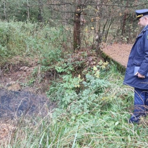 Поселок во Владимирской области из-за отсутствия центральной канализации заливали стоки