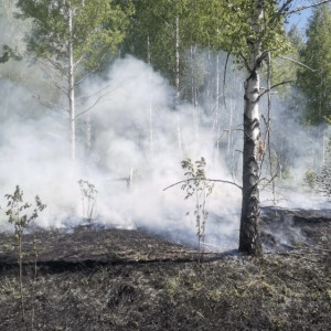 Во Владимире за заводом Valfex загорелась трава