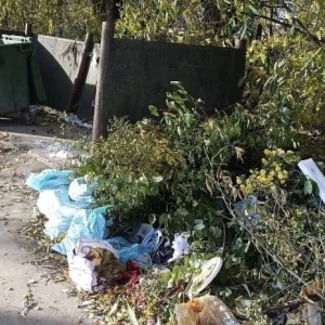 Юрьев-Польский снова завалили мусором