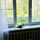 В Муроме 3-летняя девочка выпала из окна второго этажа