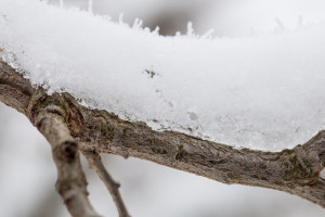 Прогноз погоды на 14 марта 2024 года во Владимире и области