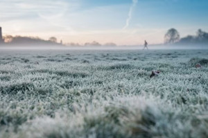 Народные приметы: что можно и чего нельзя делать 22 января в Филиппов день