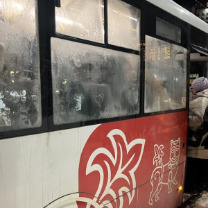 Во Владимире автобус №23 временно изменит маршрут