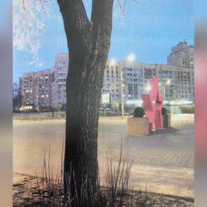 Во Владимире решили спилить 14 аварийных деревьев