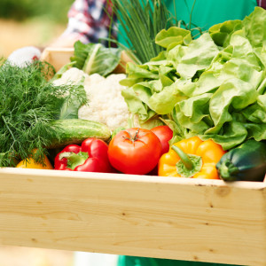 В Гусь-Хрустальном районе без зарплаты остались 60 сотрудников агропредприятия