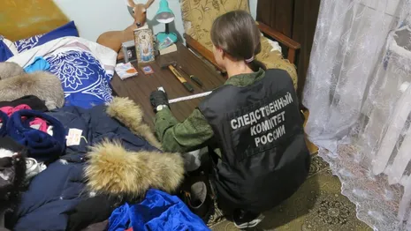 Жительница Владимирской области зарезала 76-летнюю мать