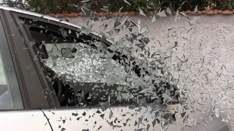 Владимирский автомобилист потребовал 1 млн от чиновников за упавшее на дорогу дерево