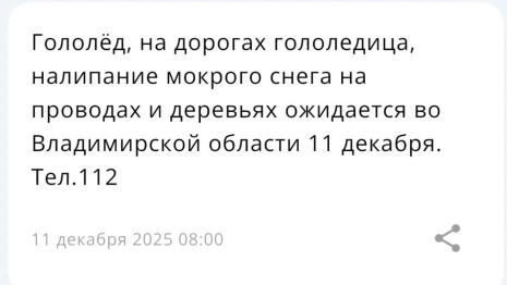 МЧС предупредило жителей Владимирской области о гололедице 11 декабря