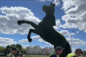 Во Владимире на зиму убрали часть топиарных фигур