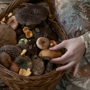 Агафон Огуменник: что можно и нельзя делать 4 сентября