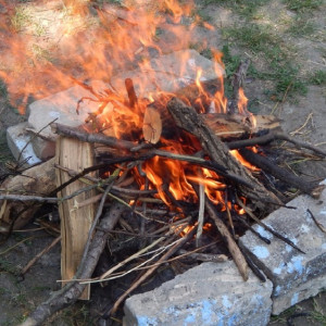 Гайд «День во Владимире». Что нужно знать о ландшафтных пожарах