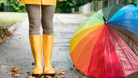 Циклон принесет затяжные дожди во Владимир