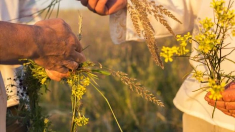 Во Владимирской области наступила астрономическая осень