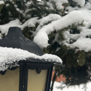 В выходные во Владимирской области потеплеет до +3