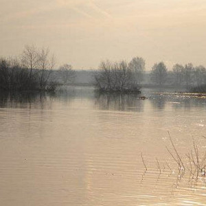 Спасатели сообщили о риске подтопления 23 населенных пунктов во Владимирской области