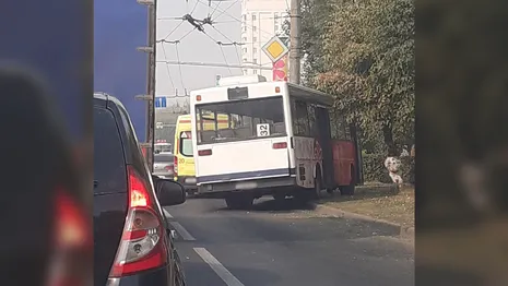 Во Владимире автобус вылетел с дороги и едва не врезался в столб