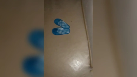 Владимирцы пожаловались на тараканов в ОДКБ