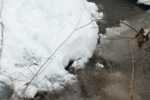 Прогноз погоды во Владимирской области на 3 марта 2026 года